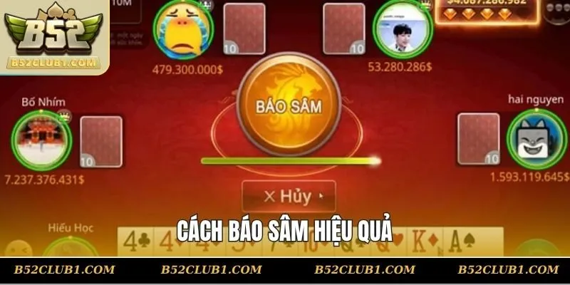 Cách báo sâm hiệu quả